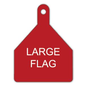 Large Flag